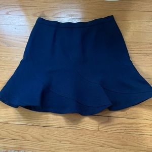 J Crew Skirt
